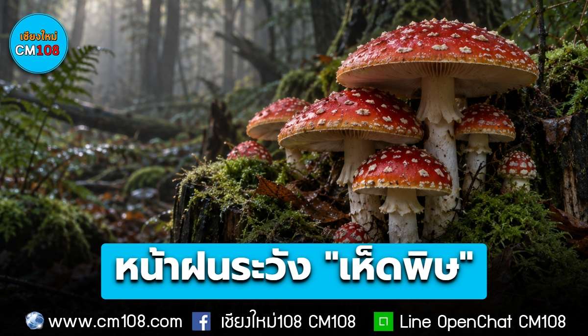 สคร.9 เตือนหน้าฝน ระวัง “เห็ดพิษ” อาการหนักเสี่ยงเสียชีวิต ย้ำ ‘ไม่รู้จัก ไม่แน่ใจ ไม่เก็บ ไม่กิน’