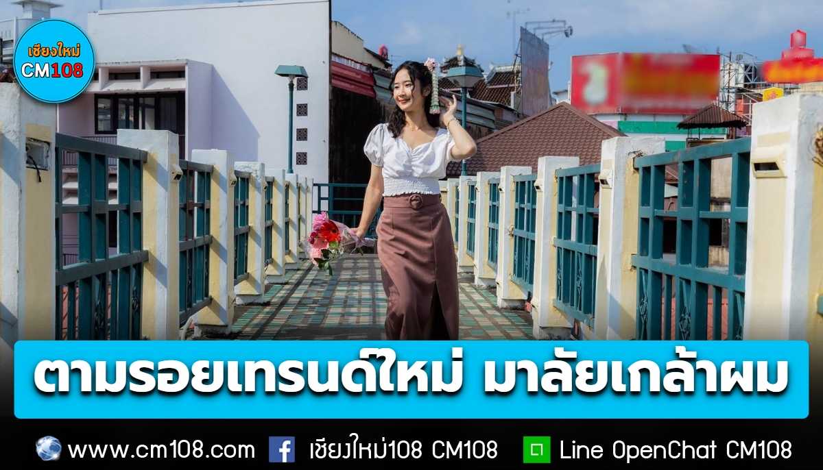 ตามรอยเทรนด์ใหม่ วัยรุ่นเจน Z “มาลัยเกล้าผม” จากกระแสไวรัล ที่ ปากคลองตลาด กทม. สู่ความคึกคักที่ ตลาดดอกไม้ เชียงใหม่ เทรนด์นี้นอกจากจะสร้างสีสันบนโลกออนไลน์เป็น Soft Power อย่างหนึ่งได้แล้ว ยังส่งผลดีต่อพ่อค้าแม่ค้าดอกไ