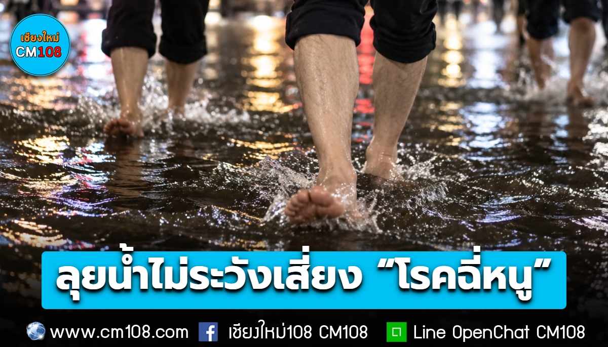 ‘หลังลุยน้ำอย่าคิดว่าแค่ไม่สบาย’ แพทย์ มช. เตือน! ลุยน้ำไม่ระวังเสี่ยง “โรคฉี่หนู” ไข้สูง ปวดน่อง ตาแดง อาจรุนแรงถึงไตวาย เลือดออกในปอด
