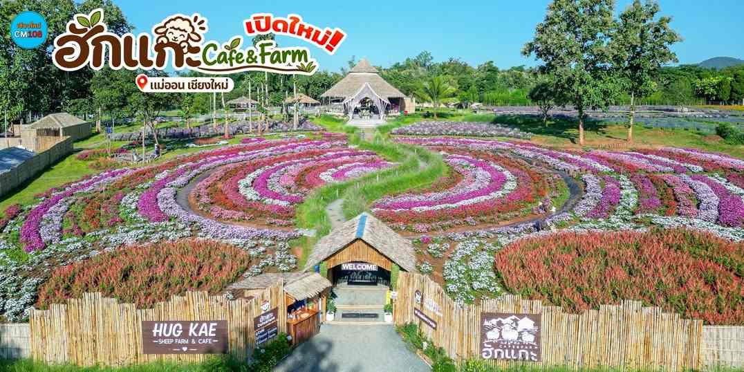 เปิดใหม่‼️ ฮักแกะ Cafe & Farm แม่ออน เชียงใหม่ ที่ท่องเที่ยวบรรยากาศธรรมชาติ มีฟาร์มแกะ และสวนดอกไม้ในที่เดียวกัน 🌸🐑