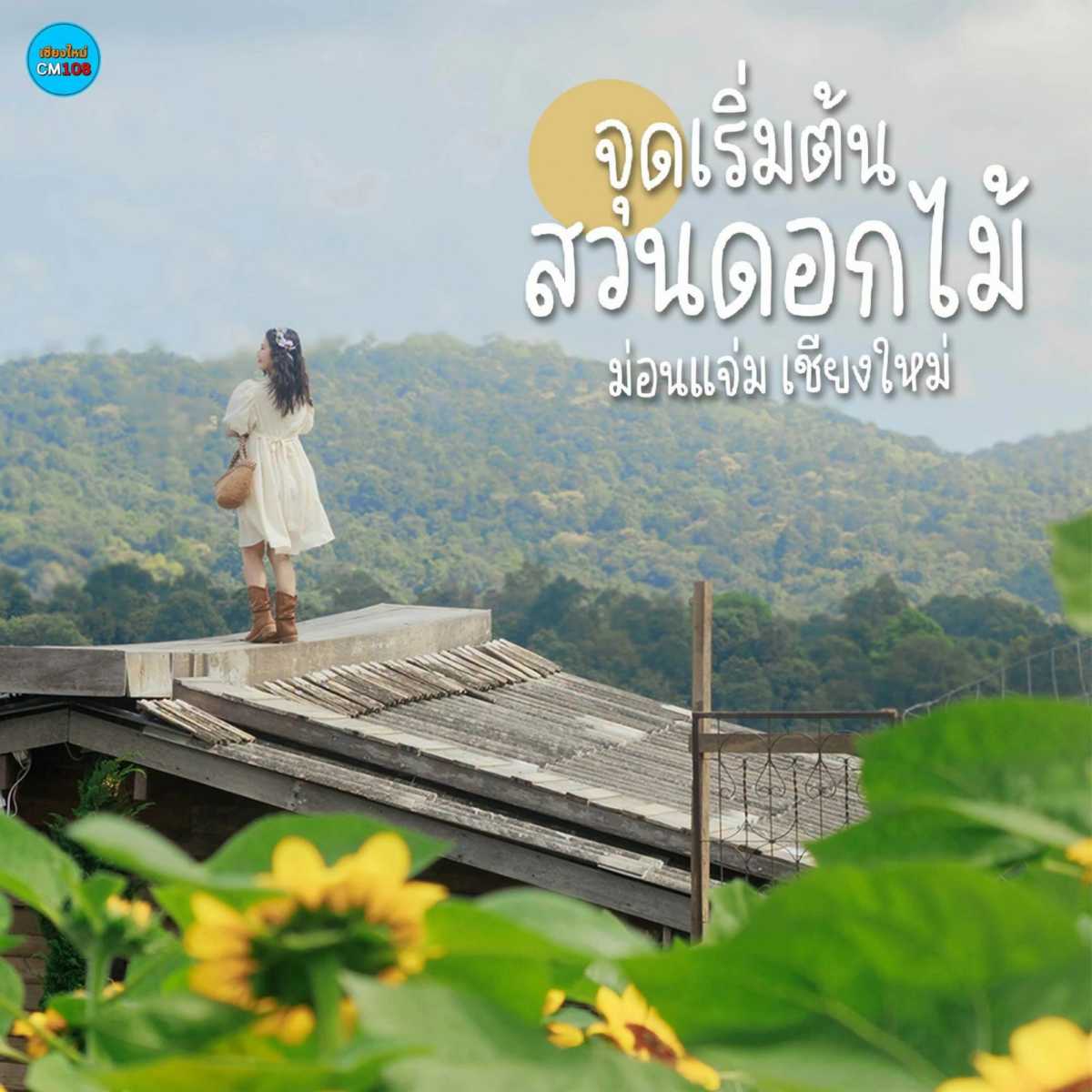 เปิดสวนแล้ววว‼️🌸 จุดเริ่มต้น-สวนดอกไม้ ม่อนแจ่ม เชียงใหม่