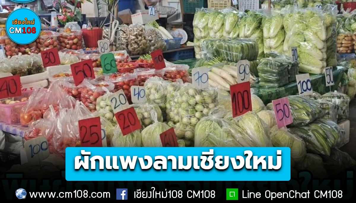 พิษผักแพงลามเชียงใหม่ น้ำท่วม-กินเจ ดันพืชผักขึ้นราคาเกือบเท่าตัว