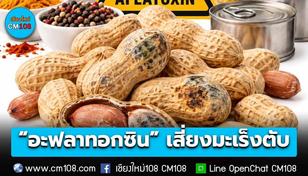 กรมอนามัย กระทรวงสาธารณสุข เตือนประชาชนระวังซื้ออาหารแห้ง ถั่วลิสง และอาหารกระป๋อง ปนเปื้อน “อะฟลาทอกซิน” เสี่ยงมะเร็งตับ แนะสังเกตความสดใหม่ ไร้กลิ่นอับและความชื้น