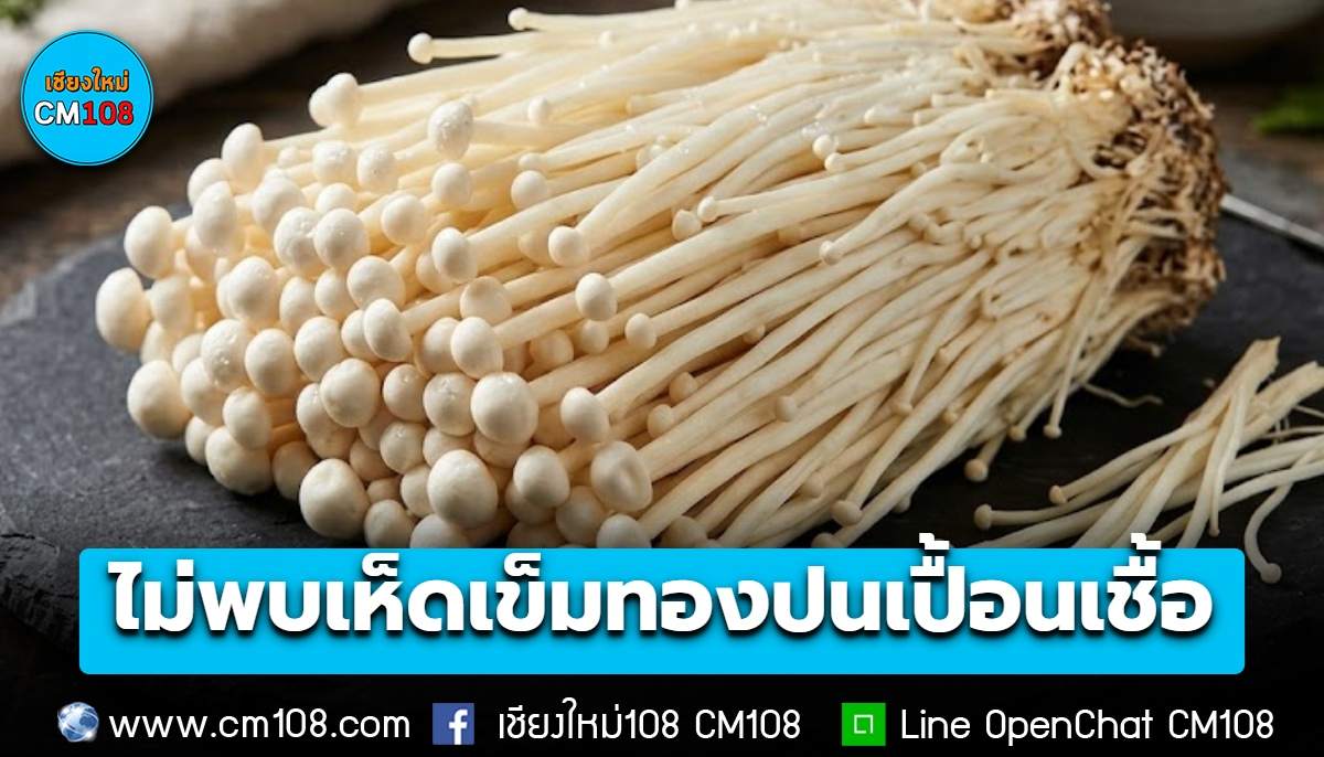 อย. ยืนยันไม่พบ “เห็ดเข็มทอง” ปนเปื้อนเชื้อลิสทีเรียฯ จากผู้ผลิตที่สหรัฐฯ แจ้งเตือน ย้ำปรุงสุกบริโภคได้อย่างปลอดภัย